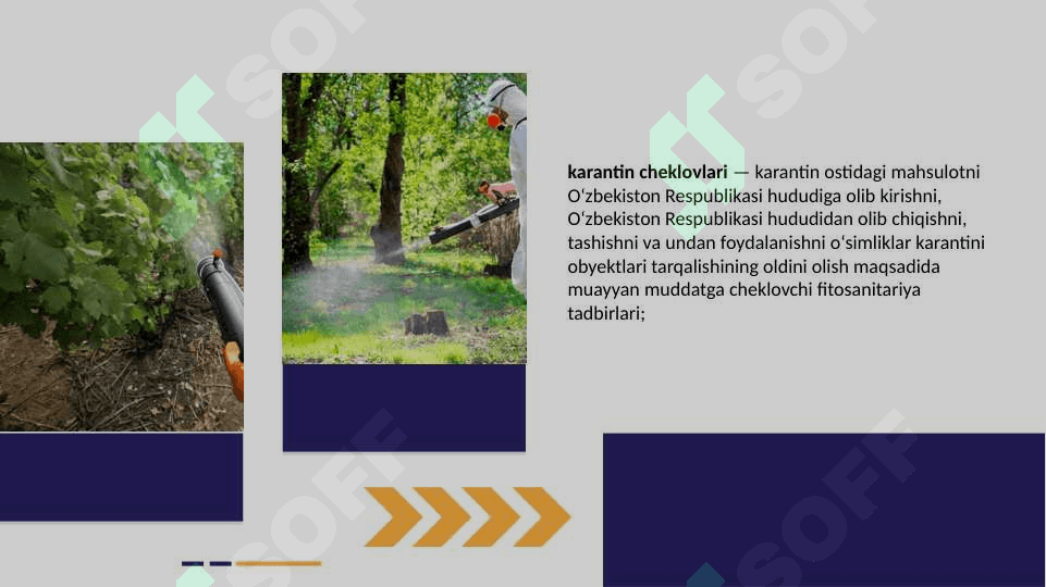 Respublika  karantin xizmatini  tuzilishi 8