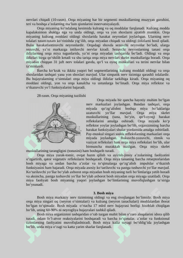 Nerv tizimining hususiy fiziologiyasi 2