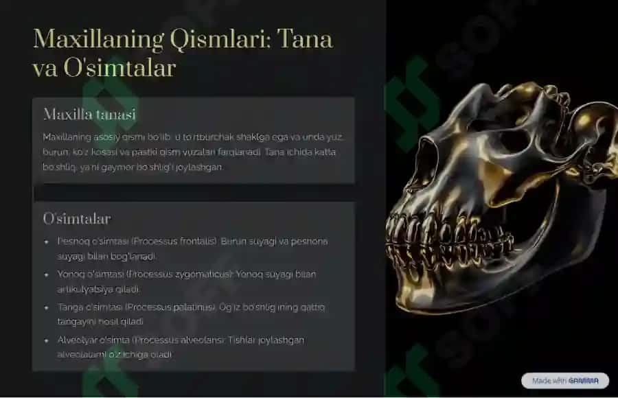 yuqorigi jağ suyagi 3