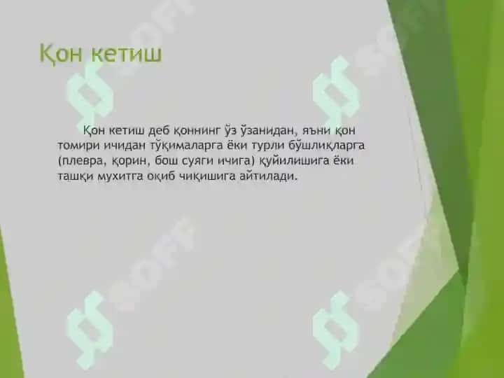 Қон кетиш 2