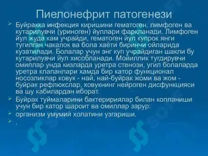 Пиелонефритларда 7