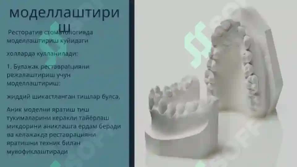 Yuqori va pastki jag‘ tishlarining anatomik shakllarini mumdan yasash 3