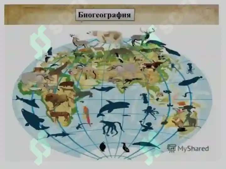 Biogeografiya fanining maqsad va vazifalari, obyekti va predmeti 3