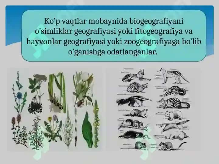 Biogeografiya fanining maqsad va vazifalari, obyekti va predmeti 6