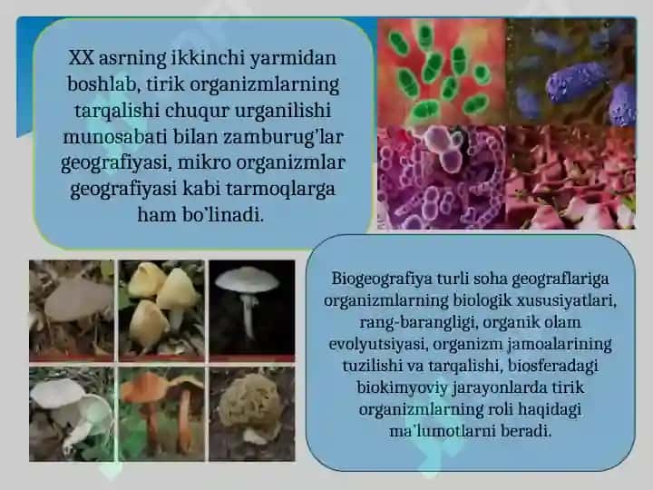 Biogeografiya fanining maqsad va vazifalari, obyekti va predmeti 7
