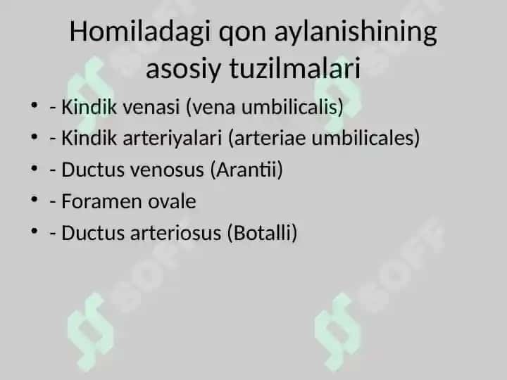 Homilada qon aylanishi 3