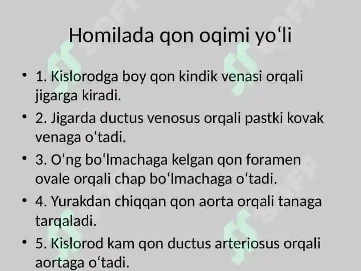 Homilada qon aylanishi 4