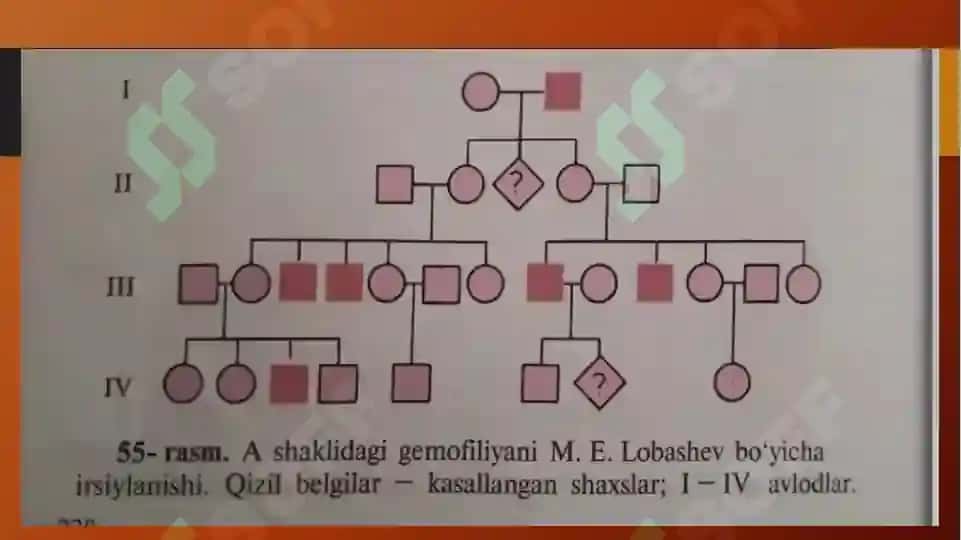 Tibbiyot genetikasi 7