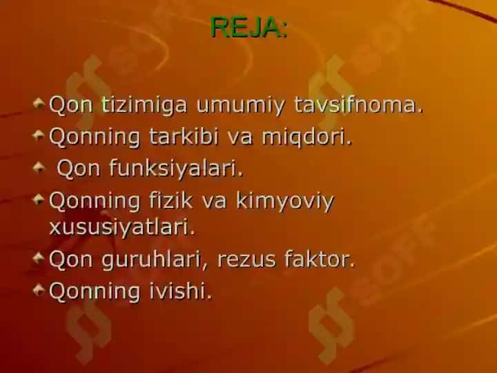 Qon aylanish fiziologiyasi 2