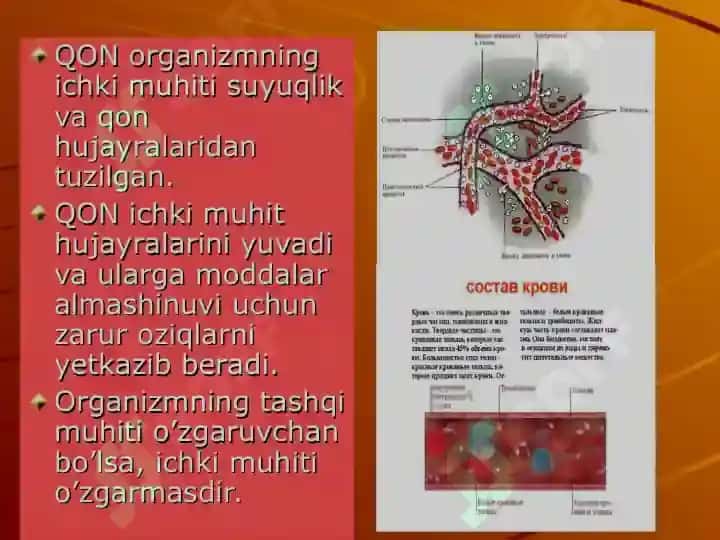 Qon aylanish fiziologiyasi 4
