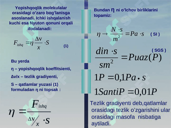 Bioreologiya 3