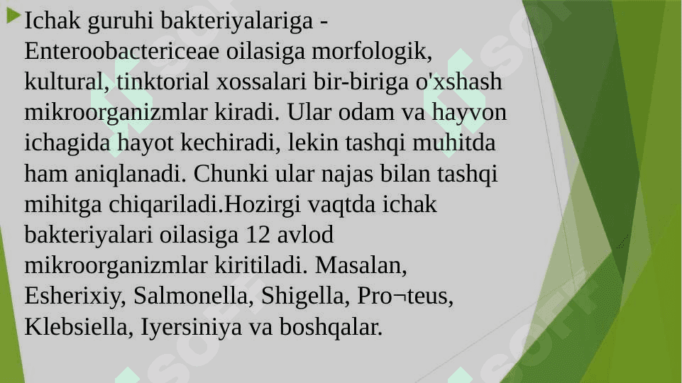 ICHAK YUQUMLI KASALLIKLAR QOʻZGʻATUVCHILARI. ICHBURUGʻ VA IERSINIYALAR KELTIRIB CHIQARADIGAN KASALLIKLAR TASNIFI 3