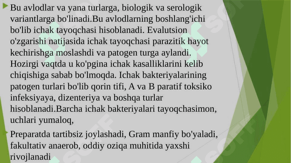 ICHAK YUQUMLI KASALLIKLAR QOʻZGʻATUVCHILARI. ICHBURUGʻ VA IERSINIYALAR KELTIRIB CHIQARADIGAN KASALLIKLAR TASNIFI 4