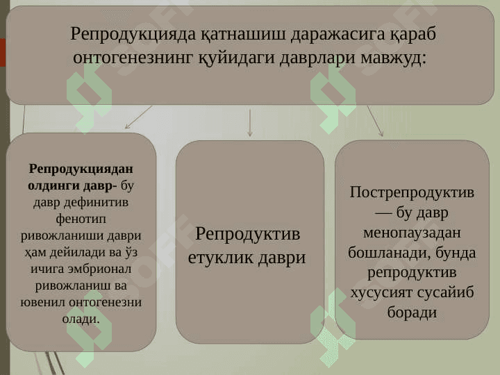 Ontogenez - organizmlarning individual rivojlanishi. Regeneratsiya, transplantatsiya va gomeostaz 6