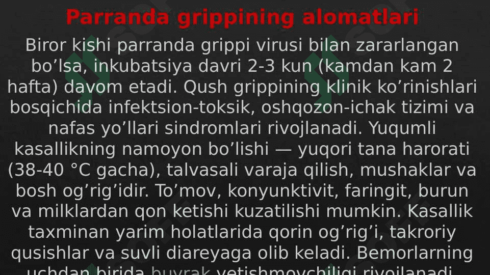 Cho'chqa va parranda grippi 8