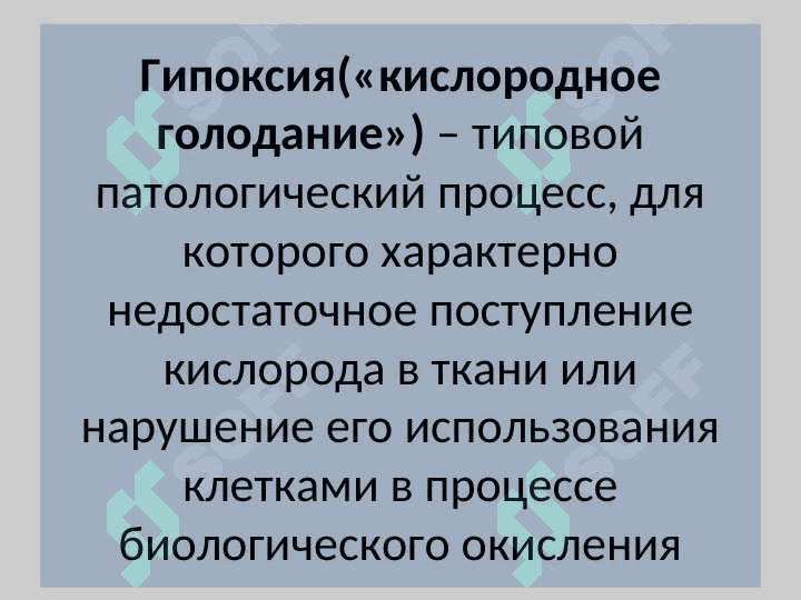 Гипоксия русский вариант презентатсия 2