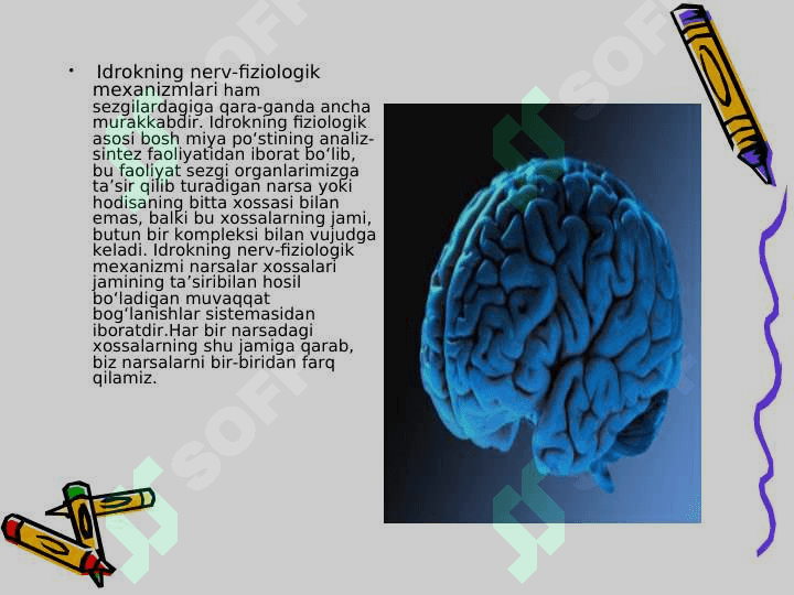 Idrok 4