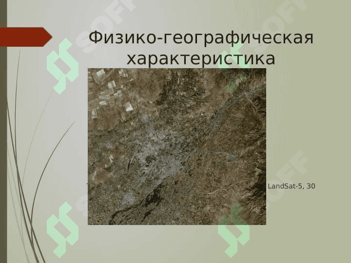 мой  город ташкент 4