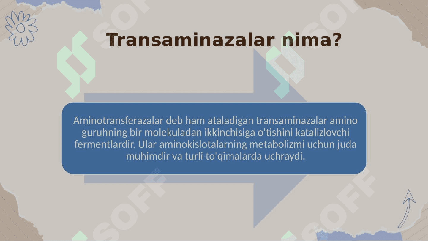 Transaminazalarning tibbiyotdagi ahamiyati 3