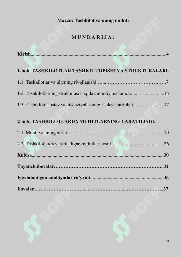 Tashkilot va uning muhiti 3