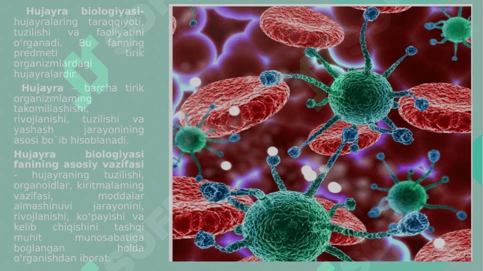 Biologiya Kirish-fanni maqsadi,vazifasi va muammolari, tarixi, o`rganish metodi 4