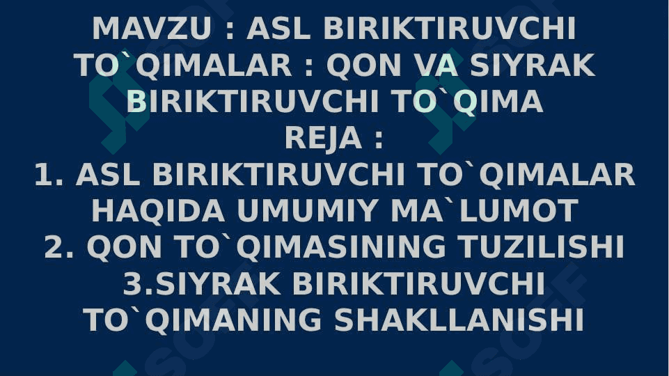 Biriktiruvchi to`qima 3