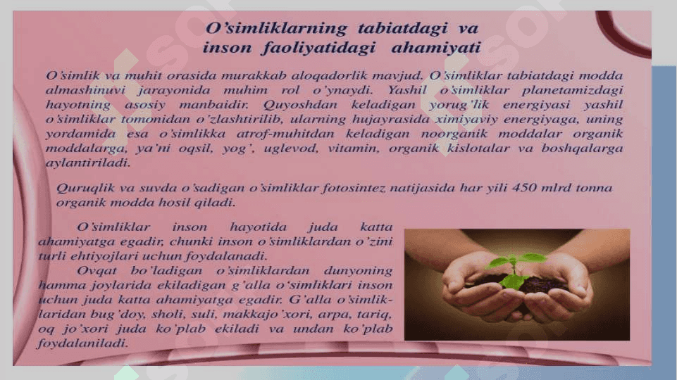 Hujayro fiziologiyasi va o`simlik hujayrasining o`ziga xos xususiyatlari 4
