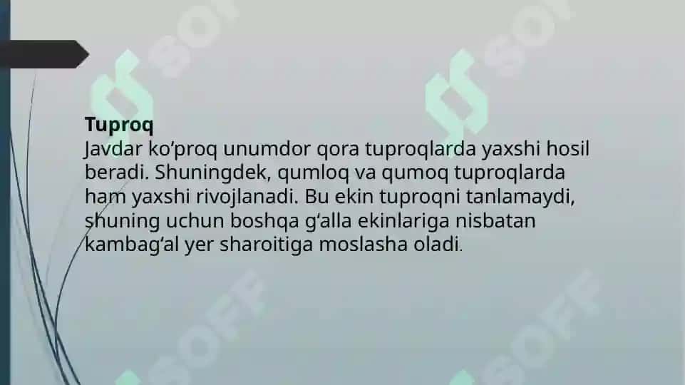Javdar yetishtirish texnalogiyasi 4