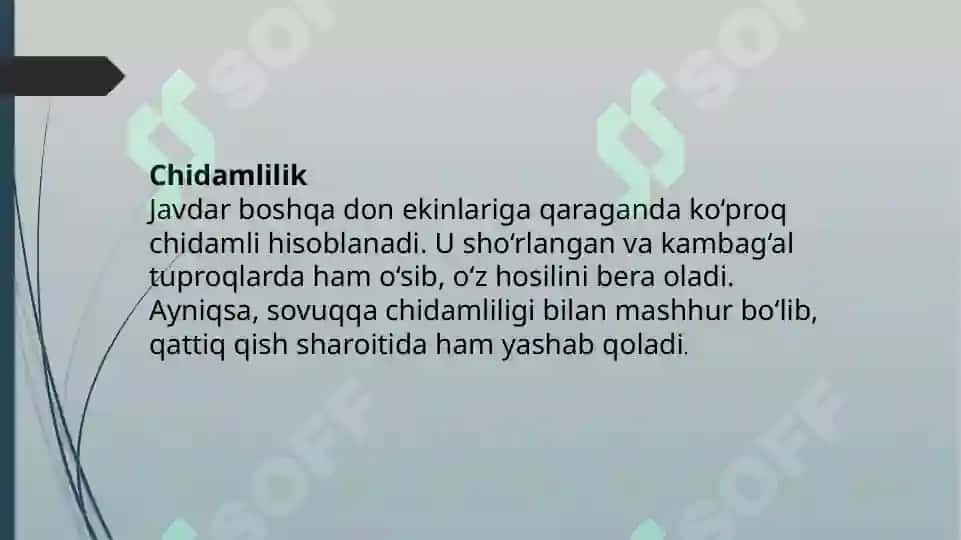 Javdar yetishtirish texnalogiyasi 5