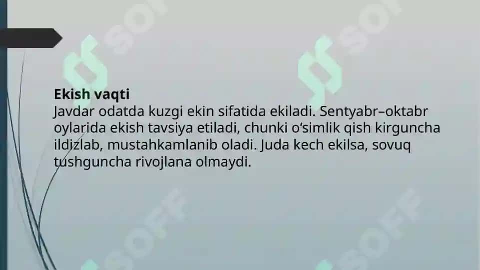 Javdar yetishtirish texnalogiyasi 7