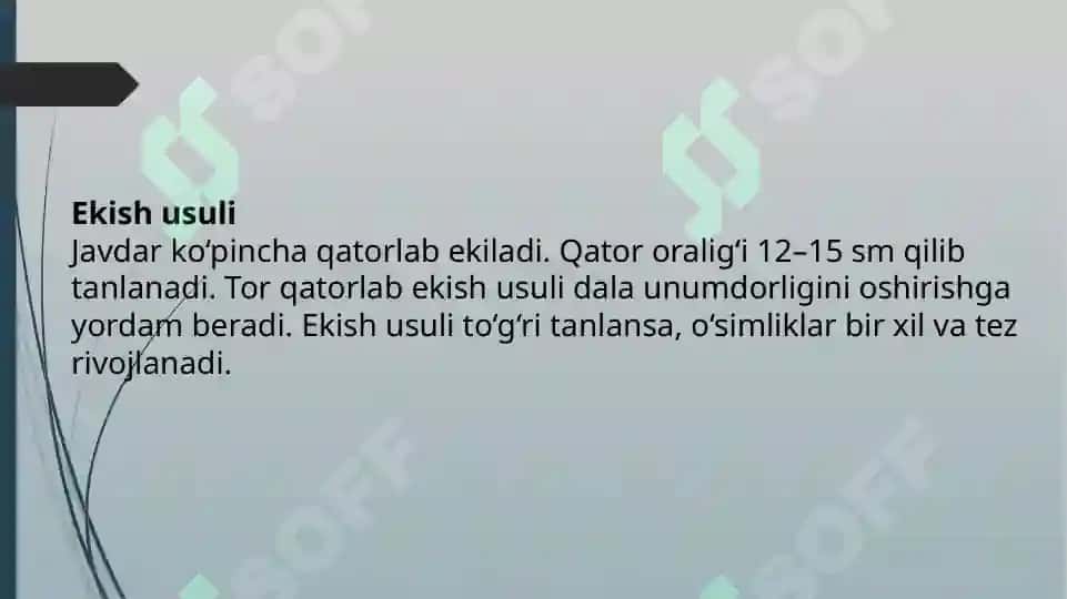 Javdar yetishtirish texnalogiyasi 8