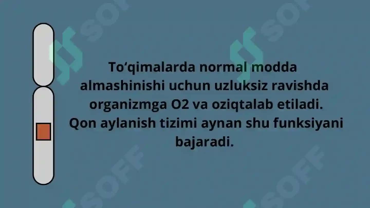 Taqdimot 2