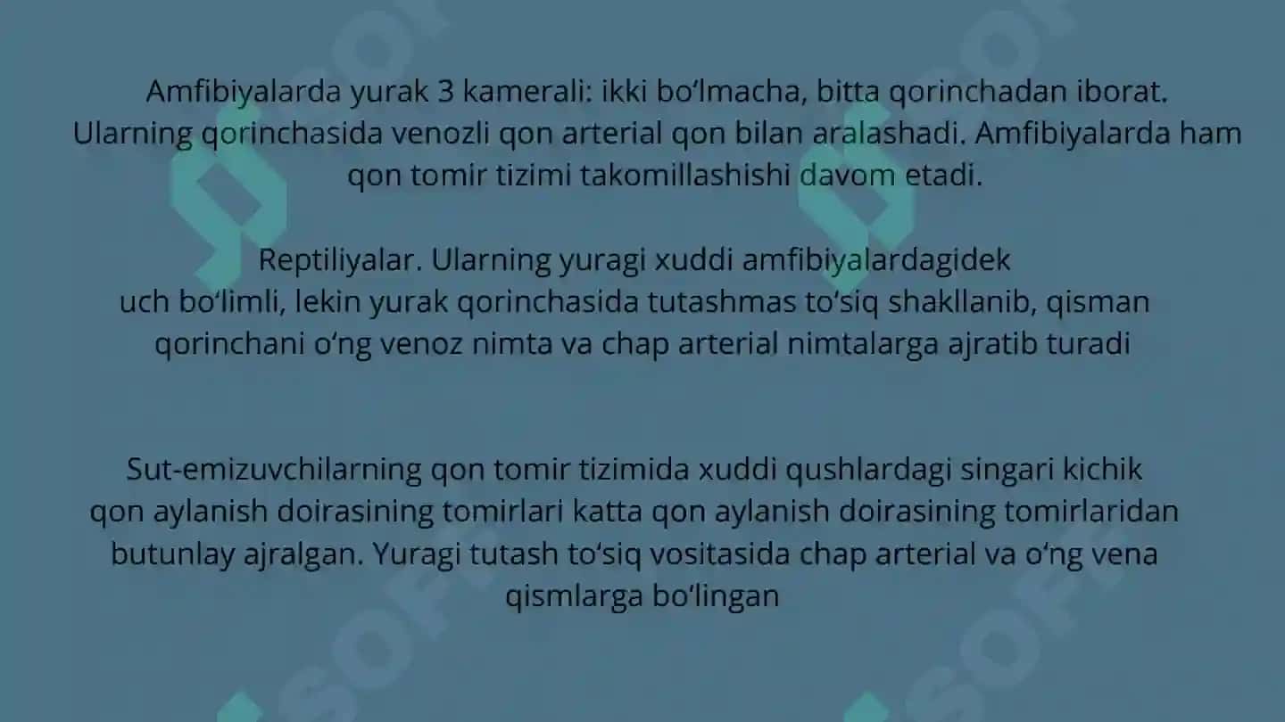Taqdimot 4