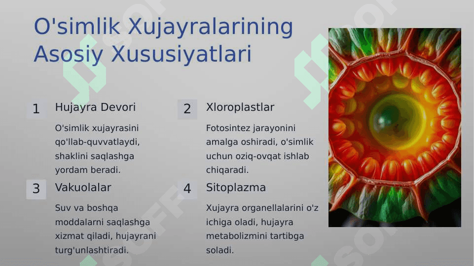 O'simlik va xayvon xujayralarning farqlari, o'simliklarning belgilari 2