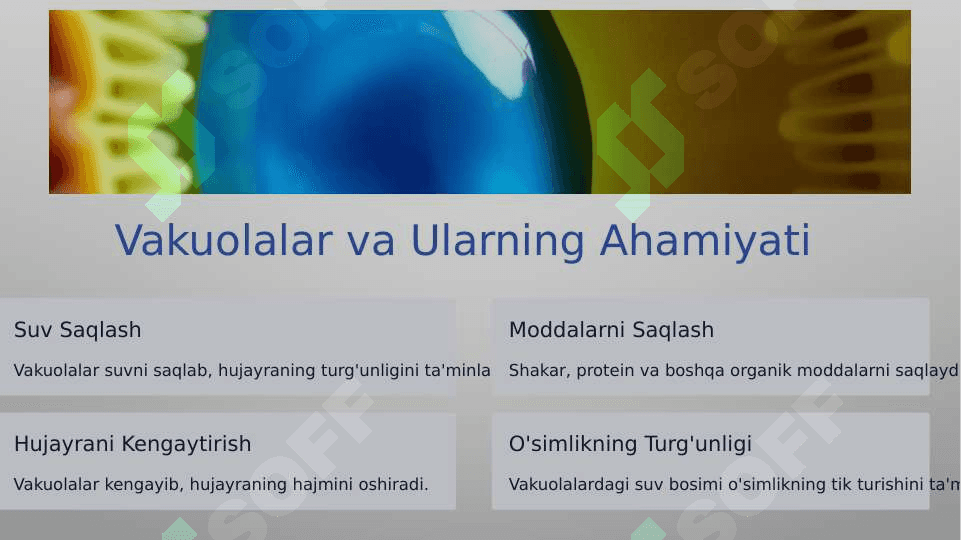 O'simlik va xayvon xujayralarning farqlari, o'simliklarning belgilari 5