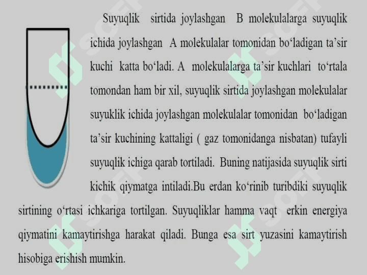 SIRT HODISALARI. ADSORBSIYA 7