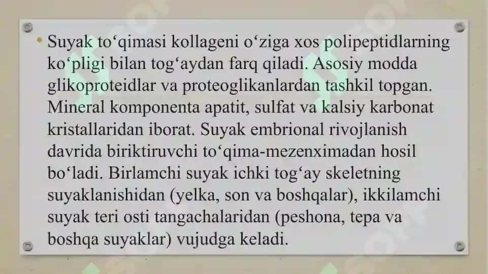 Pastki kamar suyaklari (tos suyaklari) 4