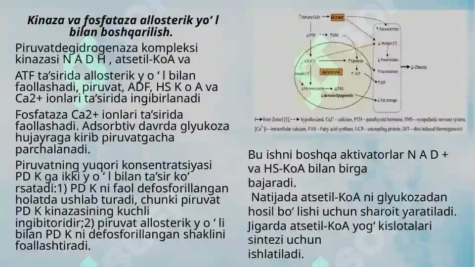 Energiya almashinuvi boshqarilishi 4