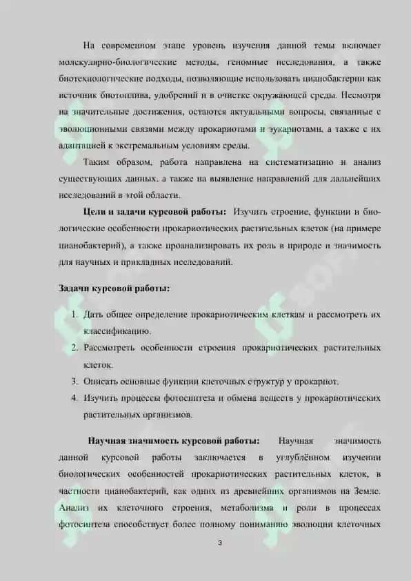 Строение и характеристики прокариотической растительной клетки 3