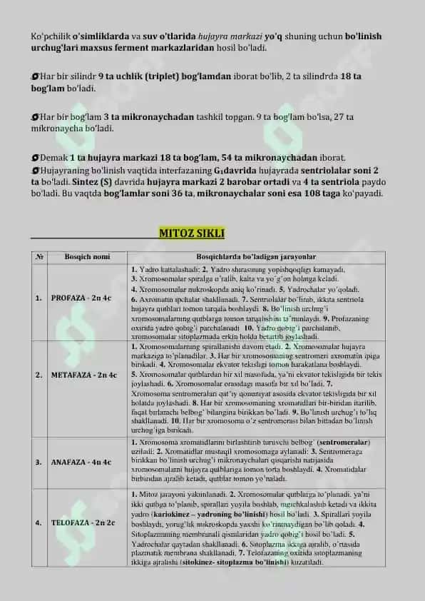 Hujayra Sikli: Mitoz va Meyoz Sikli 3