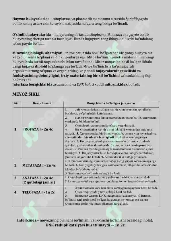 Hujayra Sikli: Mitoz va Meyoz Sikli 4