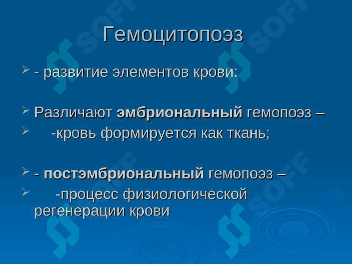 Анатомия физиология органов кроветворения 4