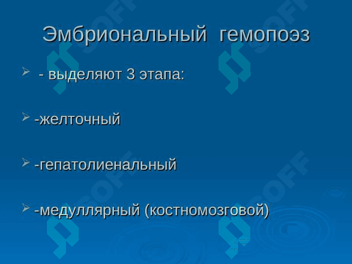 Анатомия физиология органов кроветворения 5