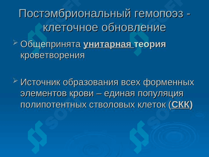 Анатомия физиология органов кроветворения 7