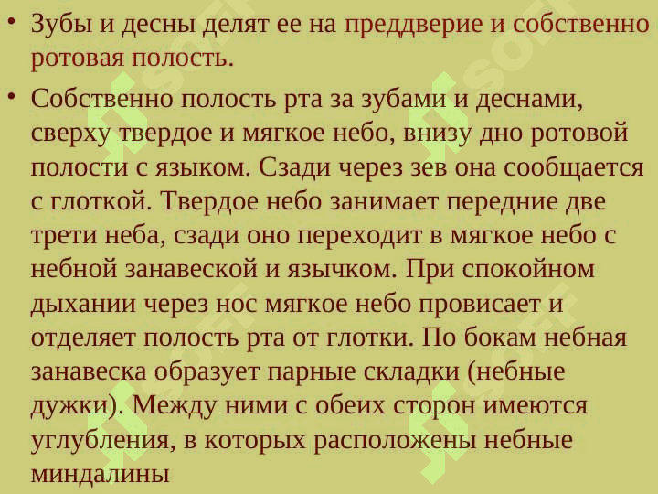 Анатомия физиология пищеварение 8