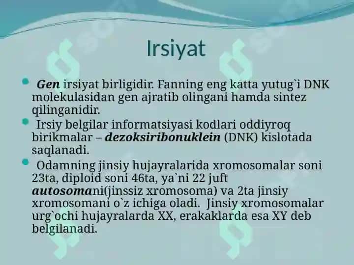 Inson,Organizm va muhit 4