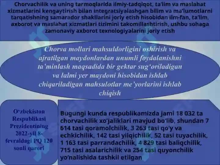“Yirik shoxli hayvonlarni oziqlantirish va ularni parvarishlashda veterinariya-gigiyena talablariga rioya etish” 5