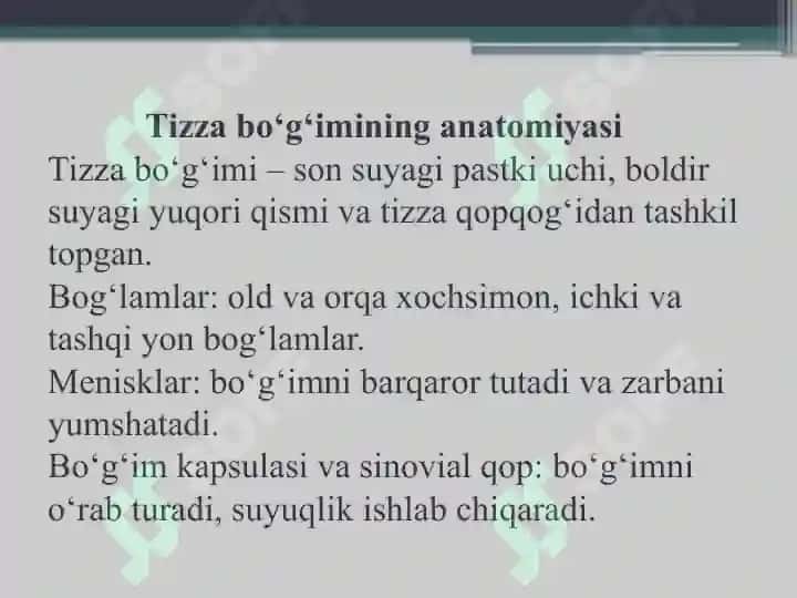 Tibbiyotga oid prezentatsiya Son va tizza bo'g'imi shikastlari 6