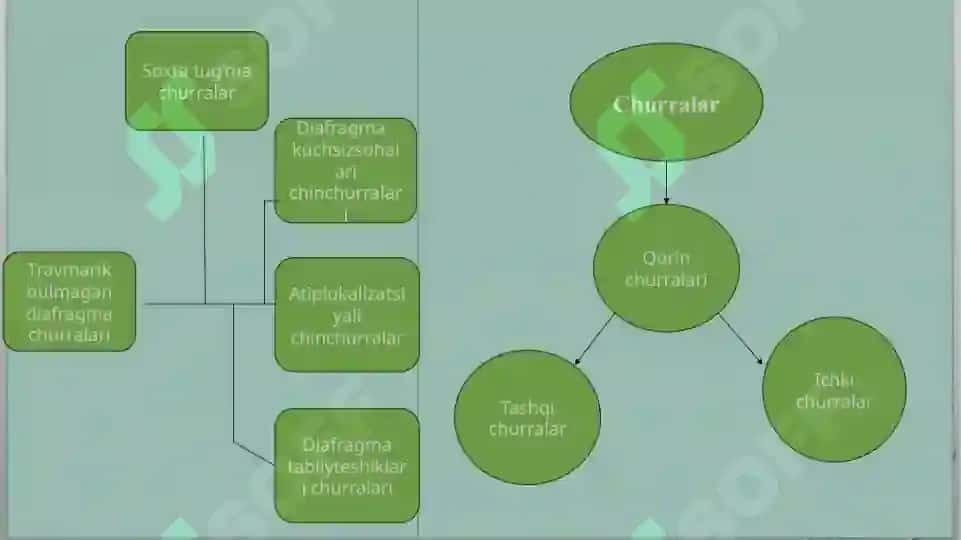 Operatsiyadan keyingi qorin churralari Qorin boshligi ichki churralari Qorin devori tugma nuqsonlari 6