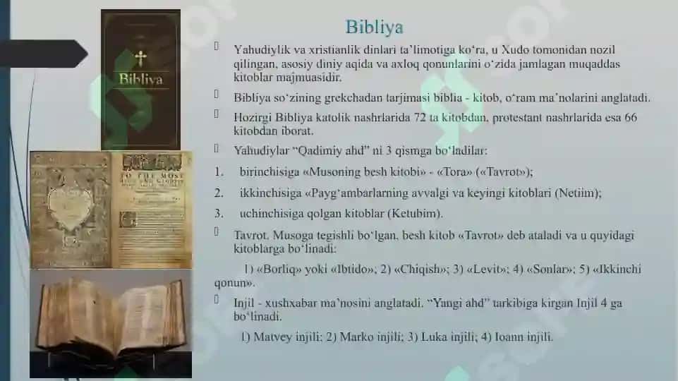ppt 3